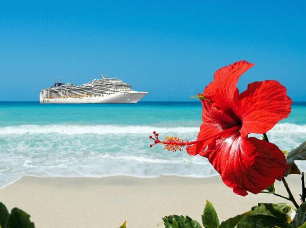 Crucero de MSC navegando frente a una playa tropical con flor de hibisco roja en primer plano.
